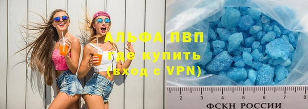 индика Армянск