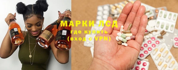 индика Армянск