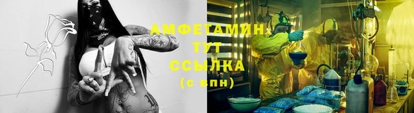 индика Армянск