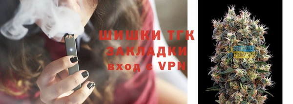 индика Армянск