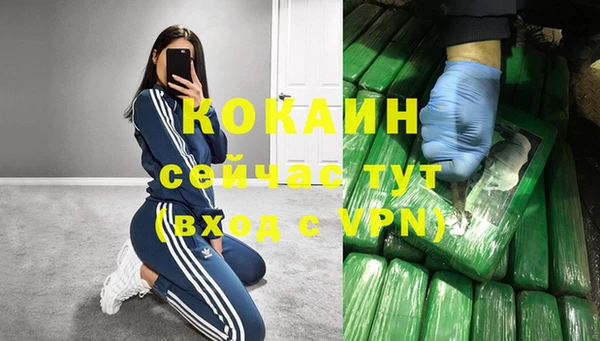 индика Армянск