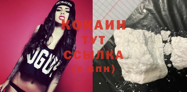 индика Армянск