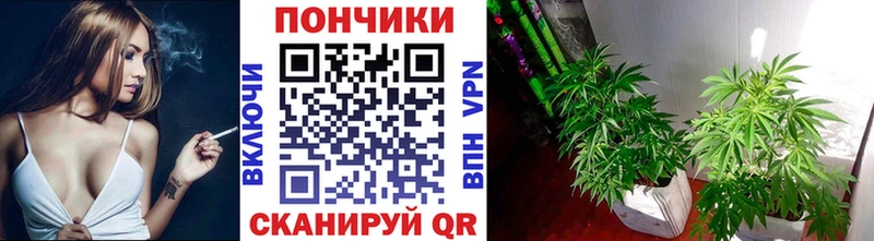 МАРИХУАНА Bruce Banner Удомля
